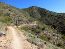 photo thumbnail #15