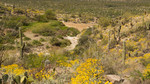 photo thumbnail #11