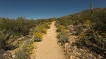 photo thumbnail #2