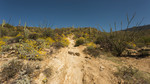 photo thumbnail #3