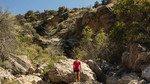 photo thumbnail #6