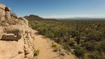 photo thumbnail #7