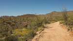 photo thumbnail #9