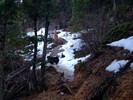 photo thumbnail #1