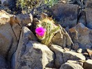 photo thumbnail #14