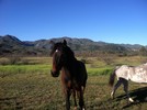 photo thumbnail #1