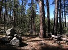 photo thumbnail #4