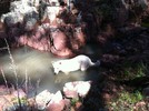 photo thumbnail #7