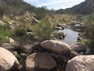 photo thumbnail #5