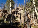 photo thumbnail #5