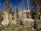 photo thumbnail #6