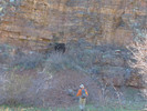 photo thumbnail #2