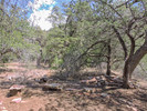 photo thumbnail #9