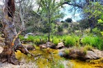 photo thumbnail #3