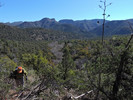 photo thumbnail #2