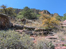 photo thumbnail #6