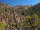 photo thumbnail #6