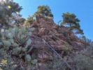 photo thumbnail #10