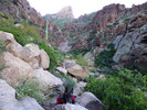 photo thumbnail #2