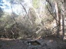 photo thumbnail #10