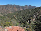photo thumbnail #6