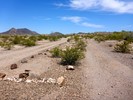 photo thumbnail #3