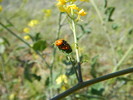photo thumbnail #13