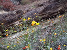 photo thumbnail #2