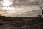 photo thumbnail #2