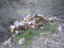 photo thumbnail #1
