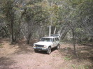 photo thumbnail #5