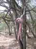 photo thumbnail #6