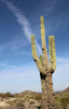 photo thumbnail #4