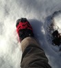 photo thumbnail #2
