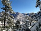 photo thumbnail #3