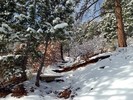 photo thumbnail #4