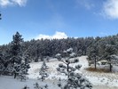 photo thumbnail #7