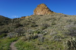 photo thumbnail #4