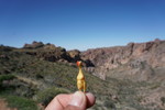 photo thumbnail #8