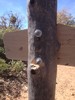 photo thumbnail #2