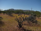 photo thumbnail #12