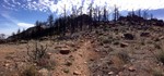 photo thumbnail #11