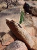 photo thumbnail #13