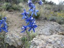 photo thumbnail #5