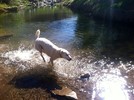 photo thumbnail #2