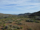 photo thumbnail #3
