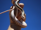 photo thumbnail #12