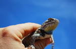 photo thumbnail #13