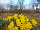 photo thumbnail #11