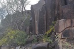 photo thumbnail #14